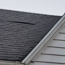 A view from a residential asphalt shingle roof showing a black gutter-cleaning vacuum hose running along the slope toward rain gutters covered with protective metal mesh guards, with a suburban neighborhood street visible in the background.